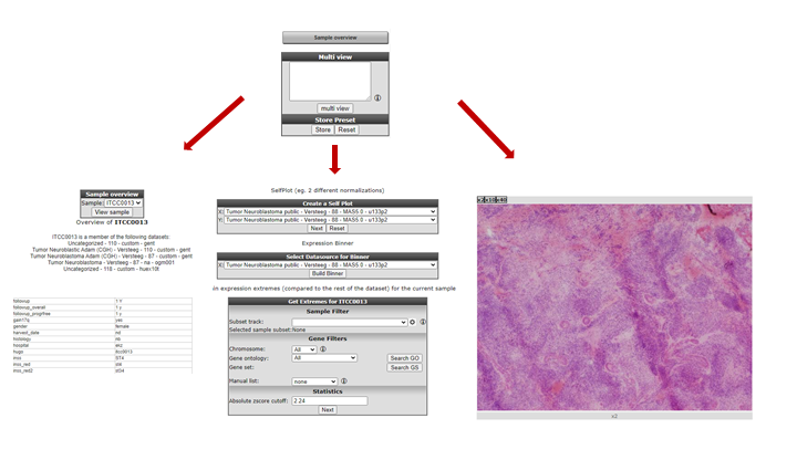 Figure 1: Clinical annotation of a sample