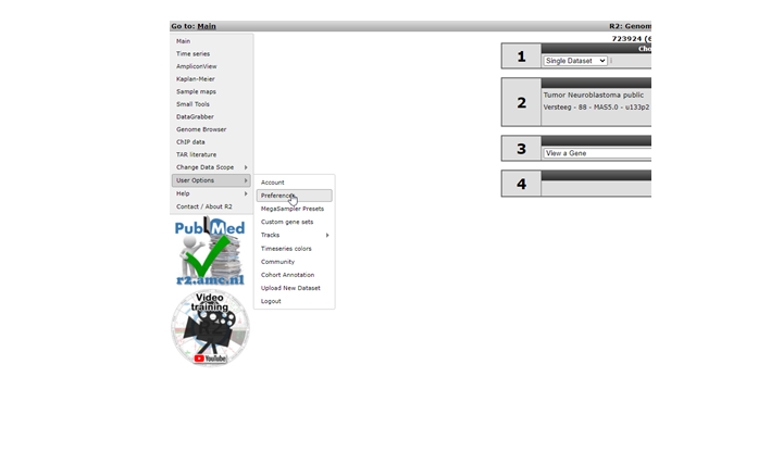 Figure    1: Personalizing R2: the User Options menu-item