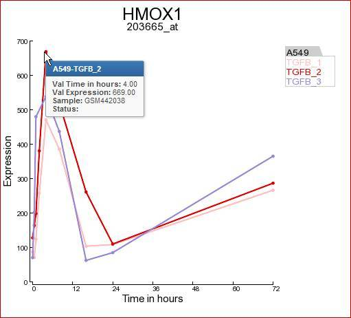 Figure    3: Expression levels of the HMOX1 gene during a time course    experiment