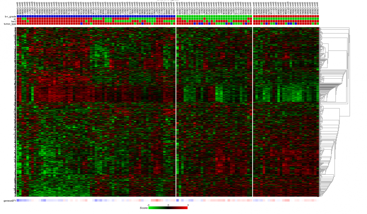 Figure    12: Heatmap of unsupervised clustering within a track of a    selected geneset.