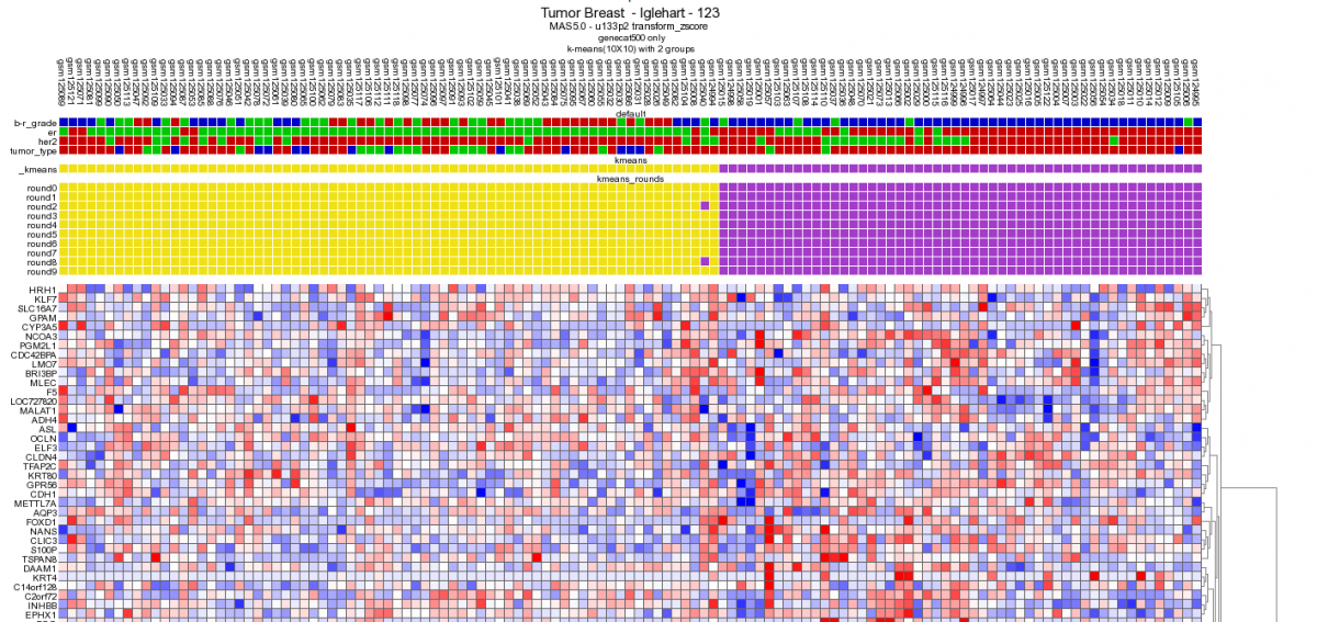 Figure    13: 10x10 Heatmap with the same dataset and gene category as    depicted in    Figure 9.