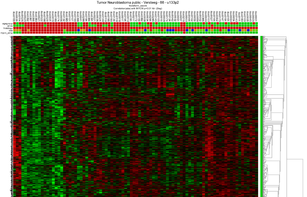 Figure 12: Heatmap view of the expression of all genes correlating with the expression of MYCN in 88 Neuroblastomasamples.