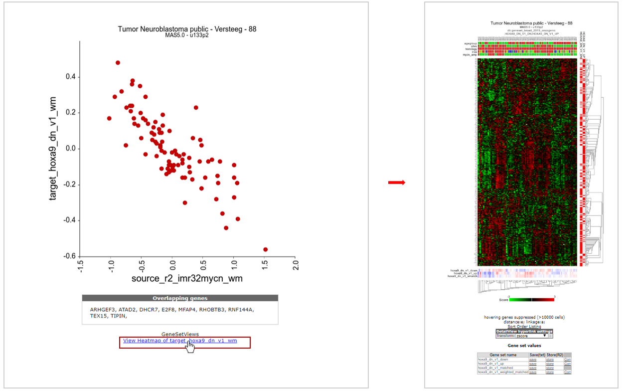 Figure 10: XY signature score plot and heatmap of correlated gene sets