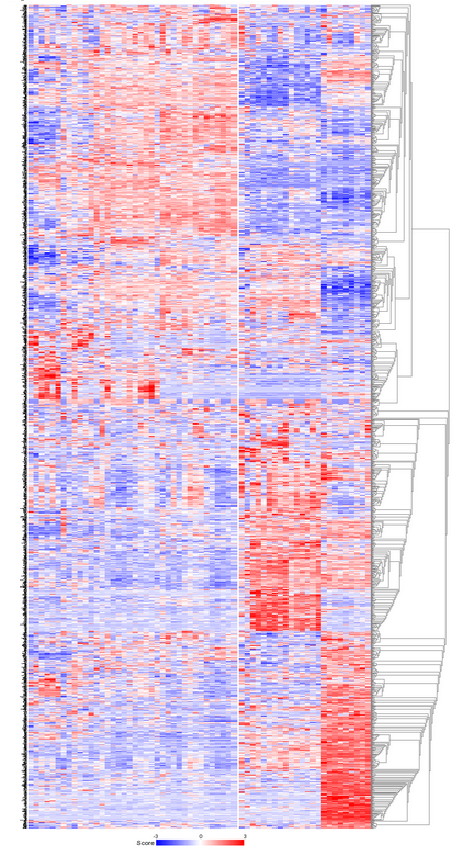 Figure    4: The heatmap for the k-means clustering in 2 groups; it is obvious    that the data is represented in    the clusters.