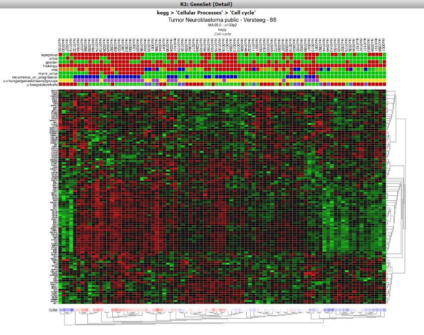 Figure 6:Heatmapview of the Kegg Cell Cycle geneset for the Neuroblastoma 88 dataset;genes and samples are sorted according to theclustering.
