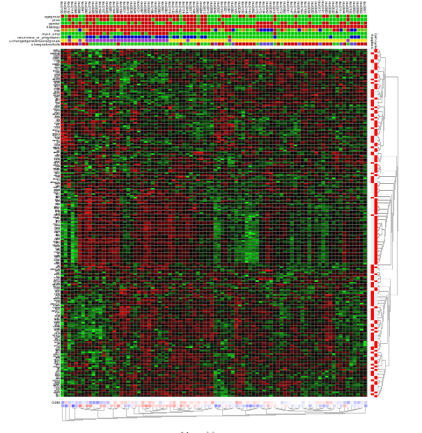 Figure9: Heatmap view of the Cell Cycle and Apoptosis genesets for theNeuroblastoma 88dataset.