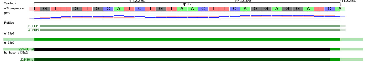 Figure    7: Zoom revealing basepair    sequence
